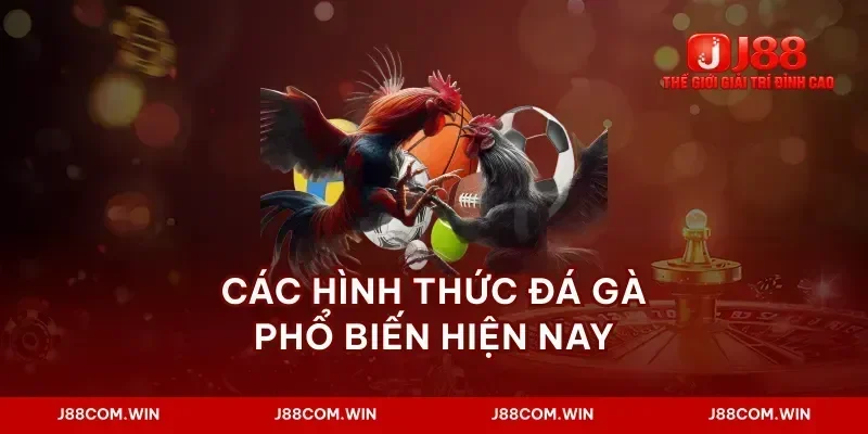 Các hình thức đá gà phổ biến hiện nay