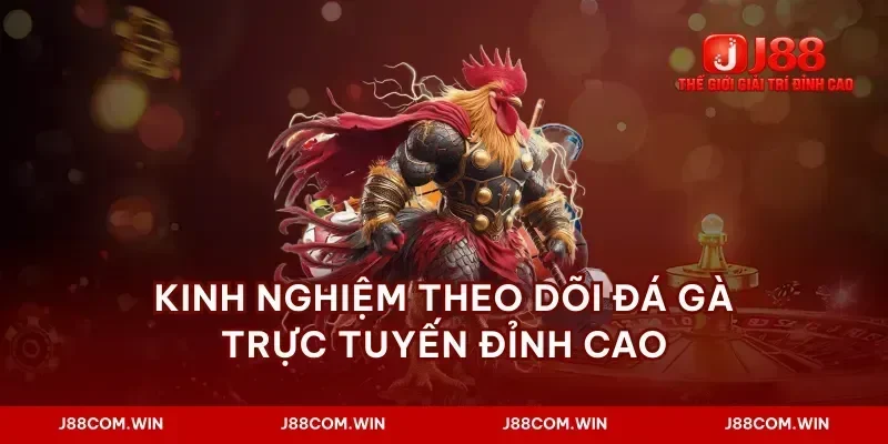 Kinh nghiệm theo dõi đá gà trực tuyến đỉnh cao