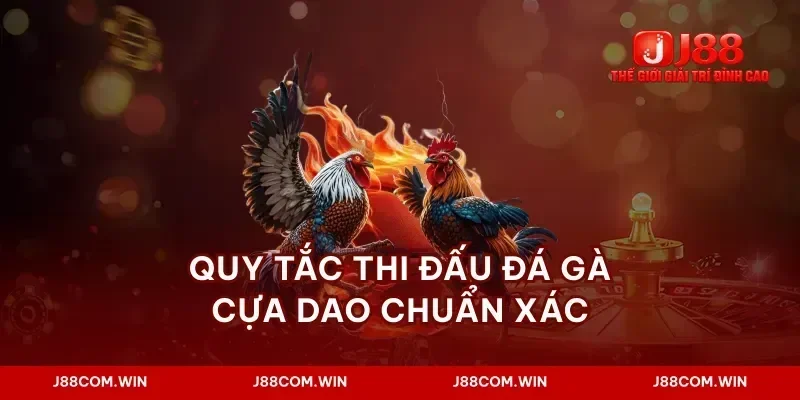 Quy tắc thi đấu đá gà cựa dao chuẩn xác