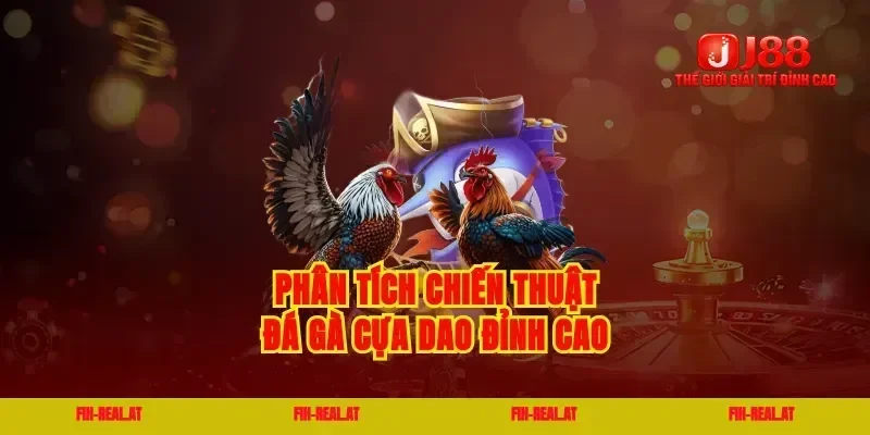 Phân tích chiến thuật đá gà cựa dao đỉnh cao