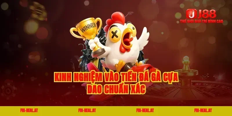Kinh nghiệm vào tiền đá gà cựa dao chuẩn xác