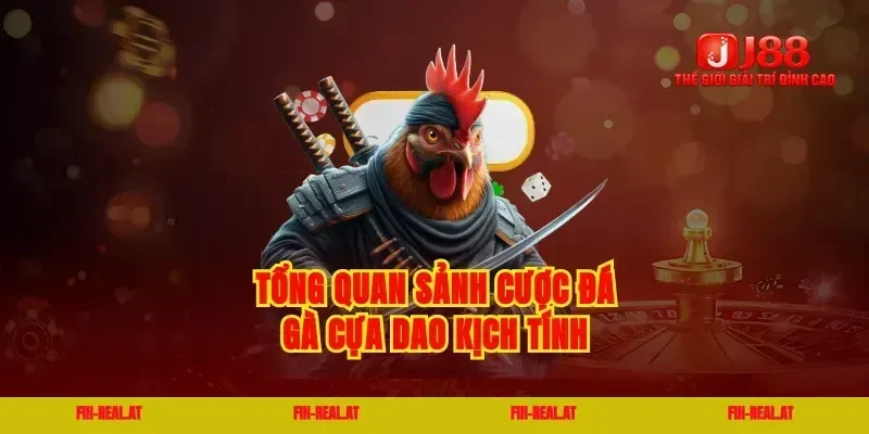 Tổng quan sảnh cược đá gà cựa dao kịch tính