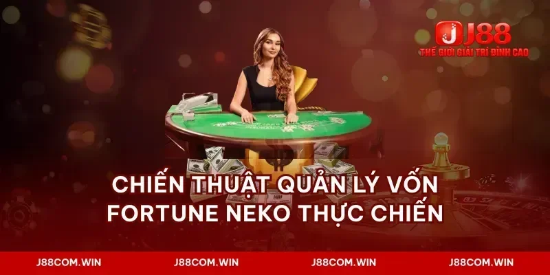 Chiến thuật quản lý vốn fortune neko thực chiến