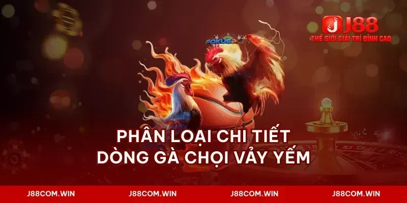 Phân loại chi tiết dòng gà chọi vảy yếm