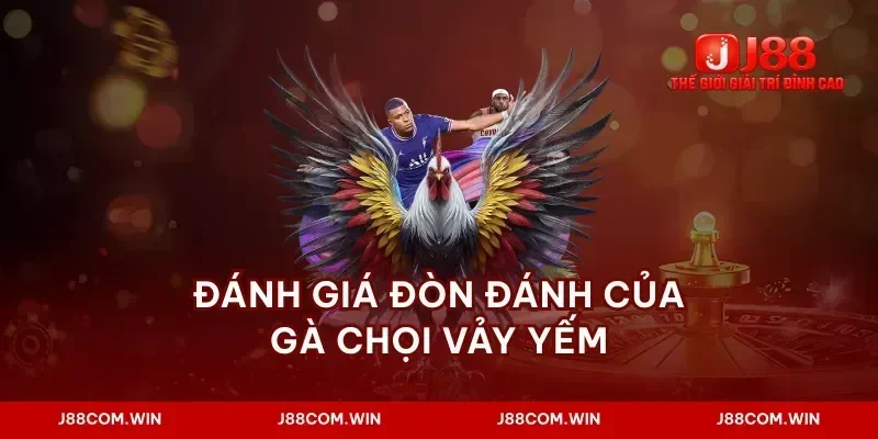 Đánh giá đòn đánh của gà chọi vảy yếm