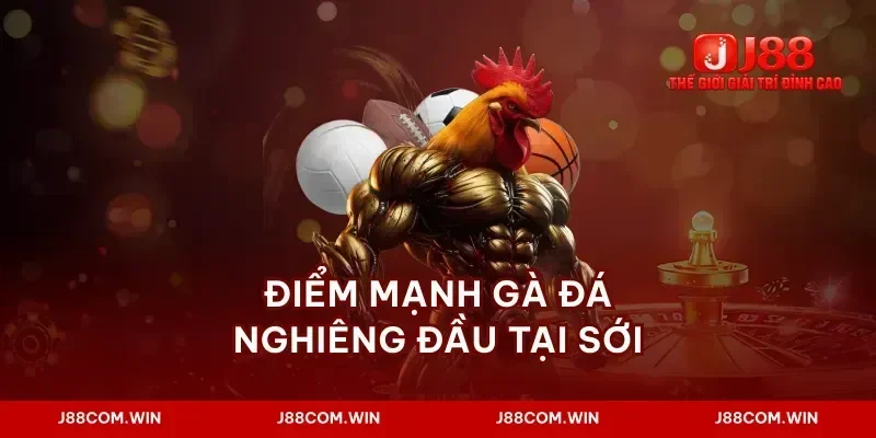 Điểm mạnh gà đá nghiêng đầu tại sới