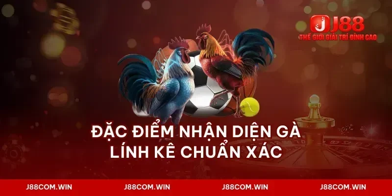 Đặc điểm nhận diện gà lính kê chuẩn xác