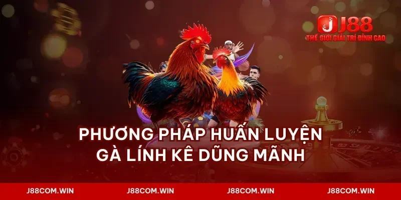 Phương pháp huấn luyện gà lính kê dũng mãnh