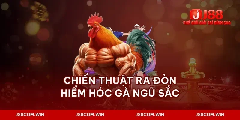 Chiến thuật ra đòn hiểm hóc gà ngũ sắc