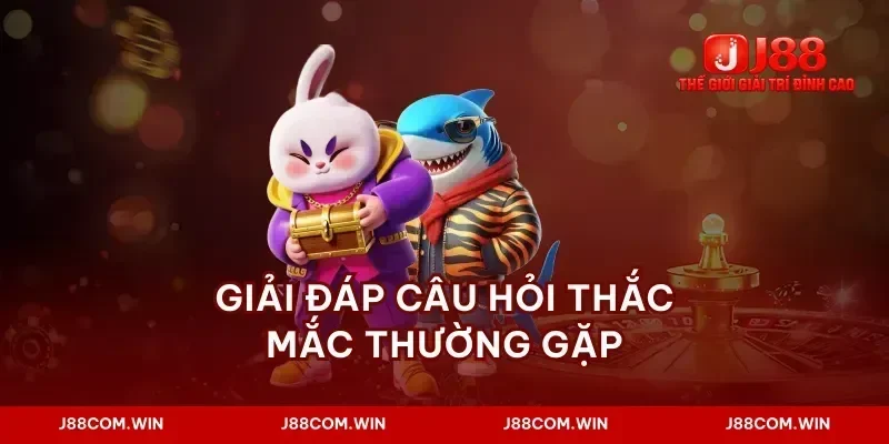 Giải đáp câu hỏi thắc mắc thường gặp
