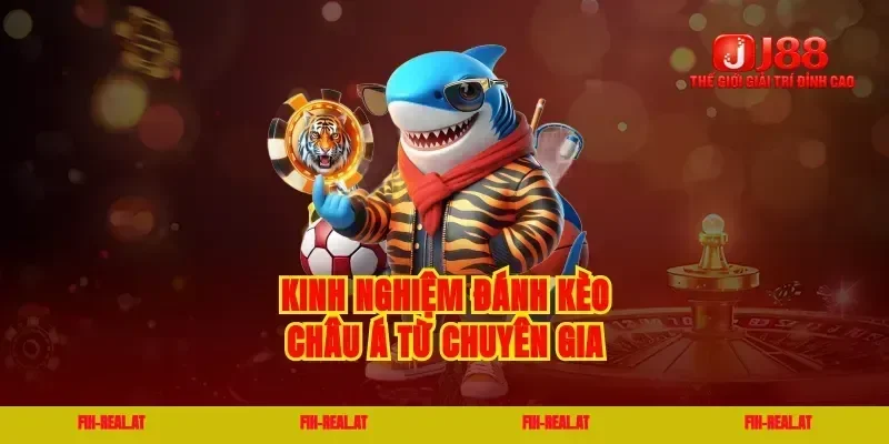 Kinh nghiệm đánh kèo châu á từ chuyên gia