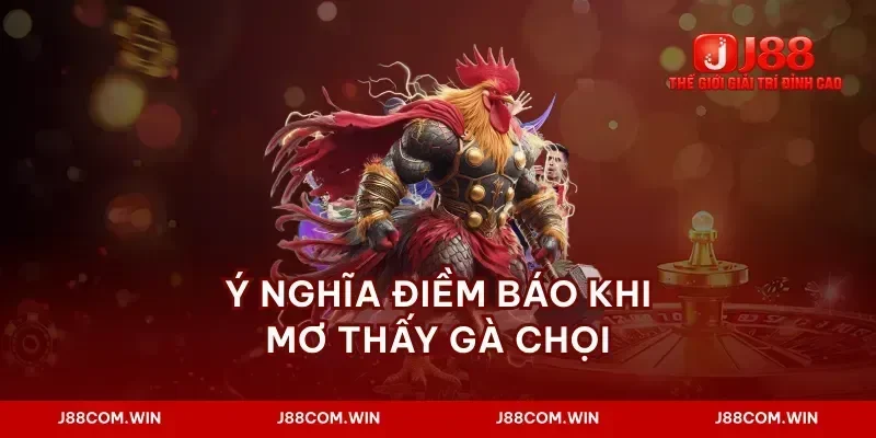 Ý nghĩa điềm báo khi mơ thấy gà chọi