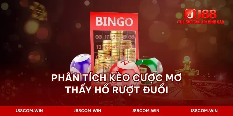 Phân tích kèo cược mơ thấy hổ rượt đuổi