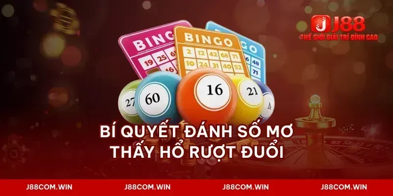 Bí quyết đánh số mơ thấy hổ rượt đuổi