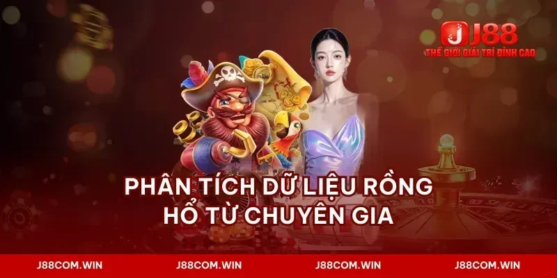 Phân tích dữ liệu rồng hổ từ chuyên gia